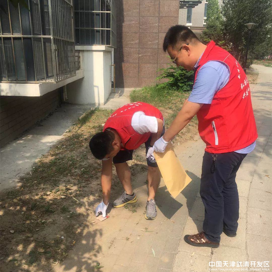 武清开发区工委开展“迎七一”结对共建活动(图5)