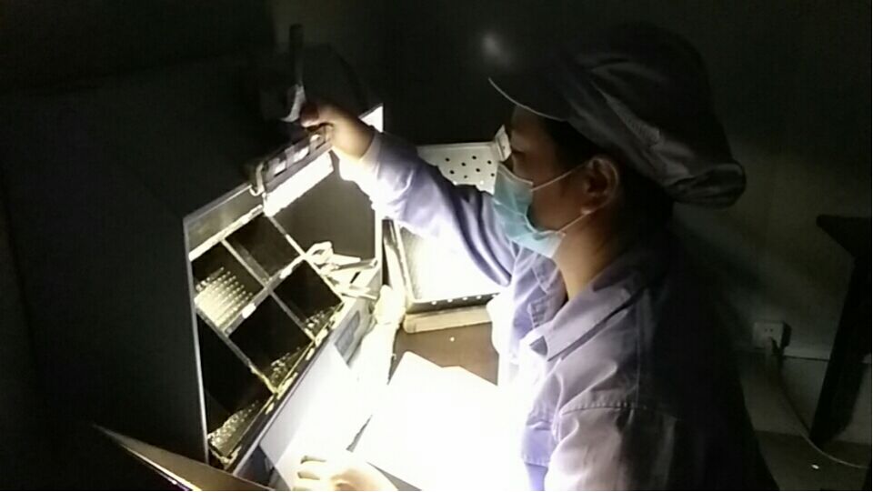 党建引领抗击疫情 担当作为共克时艰——天津红日药业股份有限公司党总支(图6)