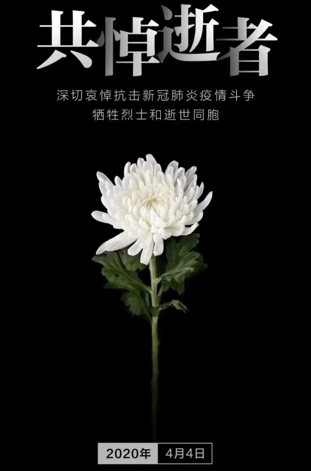 武清开发区工会开展文明祭扫宣传活动(图2)