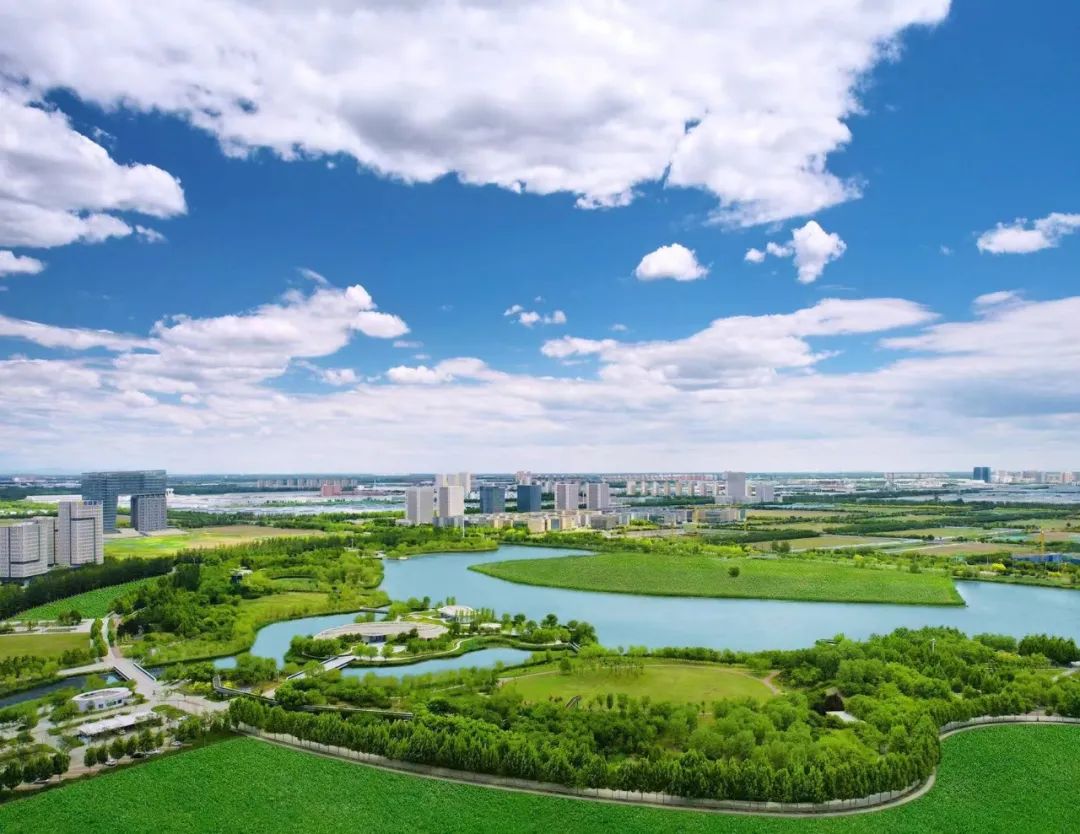 The water is greener, and the sky is bluer! Wuqing Development Zone continues to optimize the ecological environment(图1)