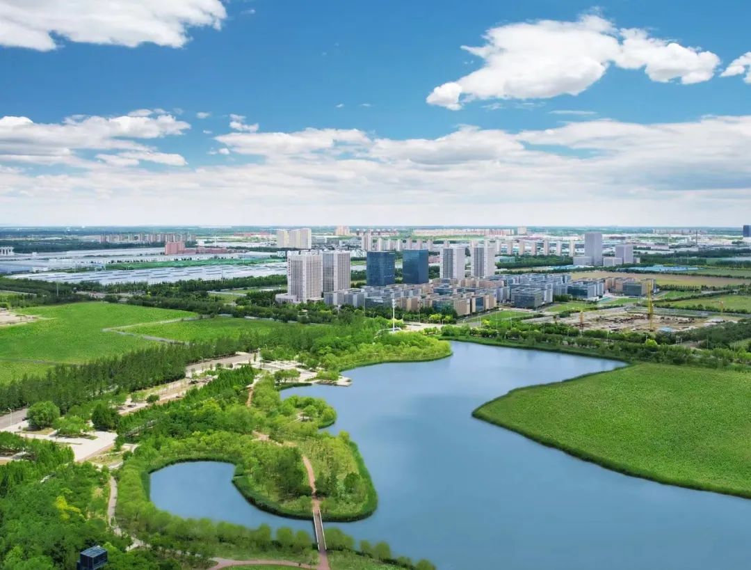 The water is greener, and the sky is bluer! Wuqing Development Zone continues to optimize the ecological environment(图2)
