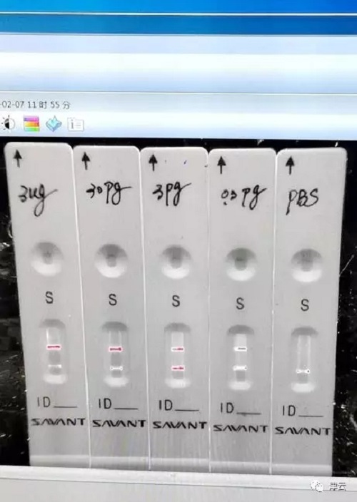 15分钟检测新冠病毒！天大校企合作研发新型试剂盒(图2)