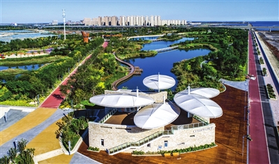 我市全面完成渤海综合治理攻坚战各项目标任务(图2)