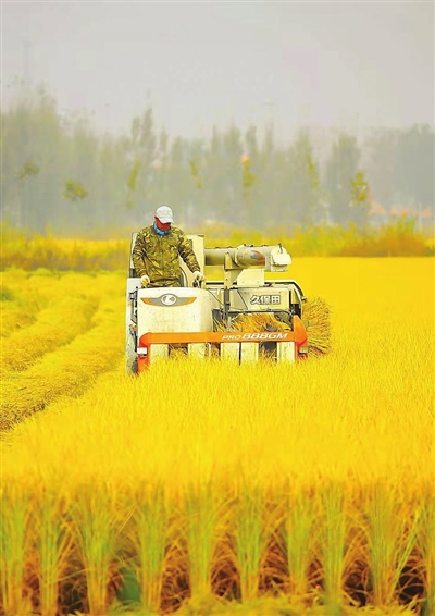 “三产”聚力 兴业富民(图)(图2)