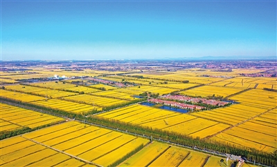 “三产”聚力 兴业富民(图)(图1)