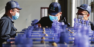 碳电极电解水 制氢设备交付（图）(图1)