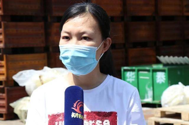 讲政策、解难题——武清开发区助力在华日企重回发展“快速路”(图8)