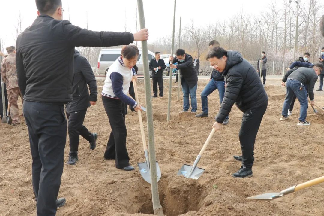 武清区领导参加义务植树活动(图2)
