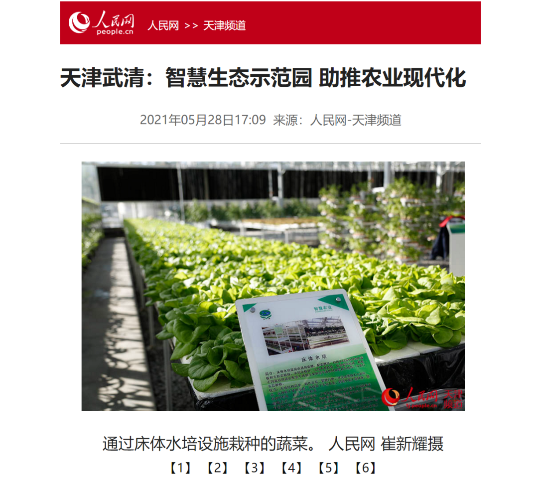 天津武清：智慧生态示范园 助推农业现代化(图4)