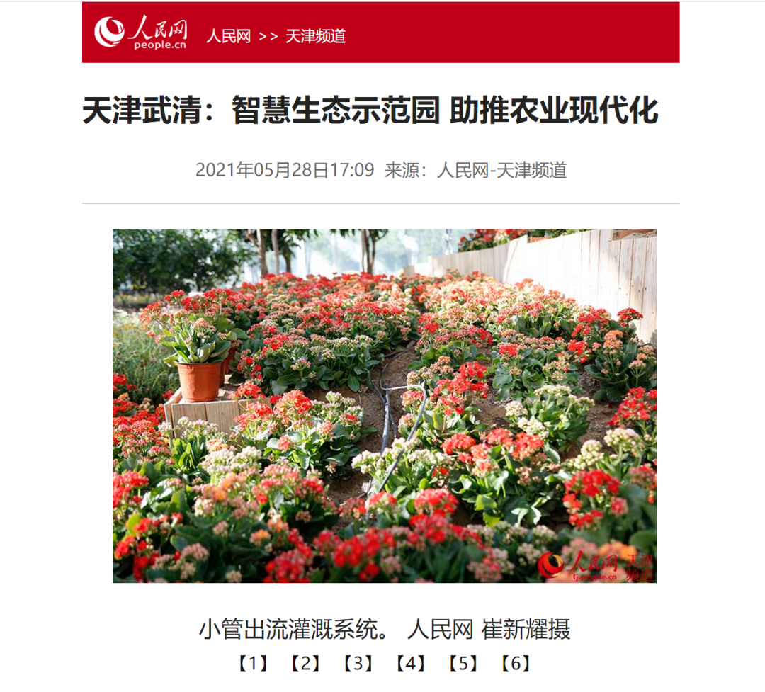 天津武清：智慧生态示范园 助推农业现代化(图3)