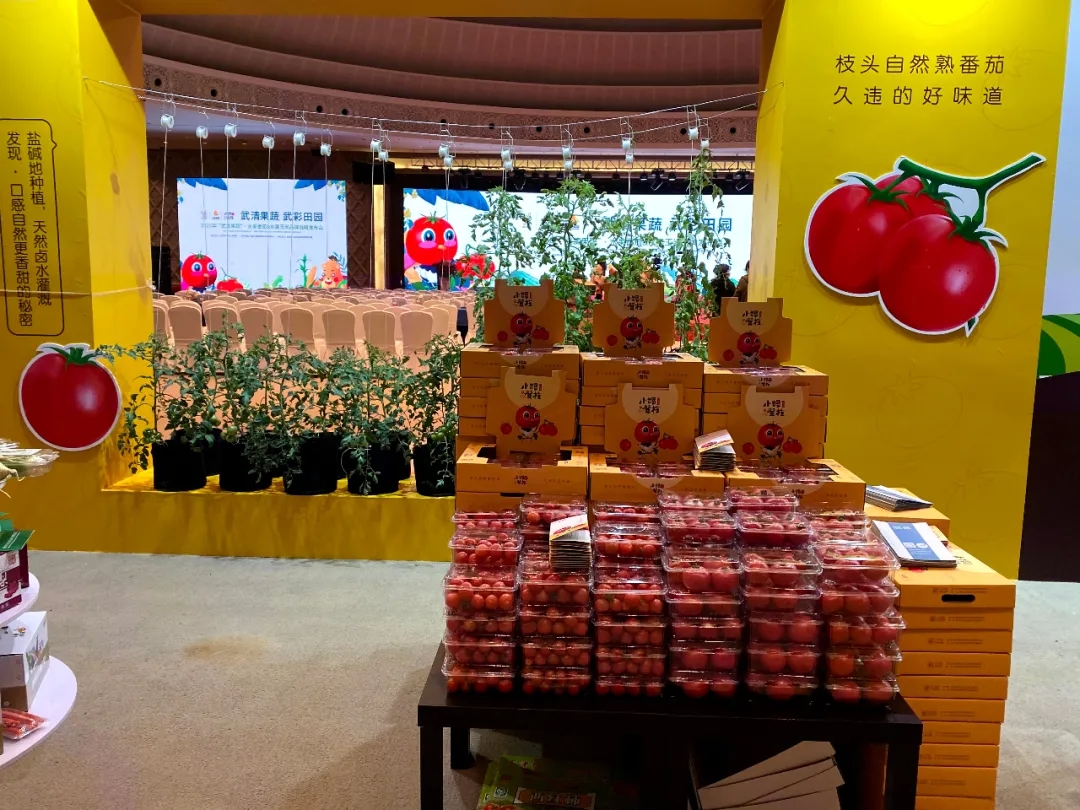 喜报！武清这个基地入选第一批全国种植业“三品一标”基地(图2)