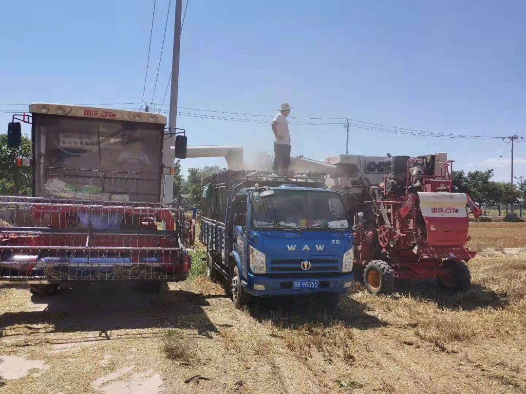 南任庄的幸福(图2)