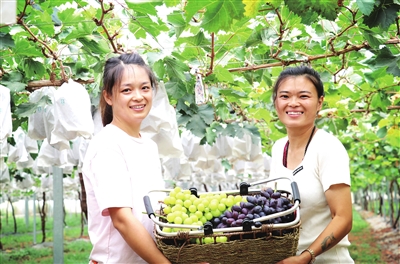 广袤田野绘就幸福画卷（图）(图3)