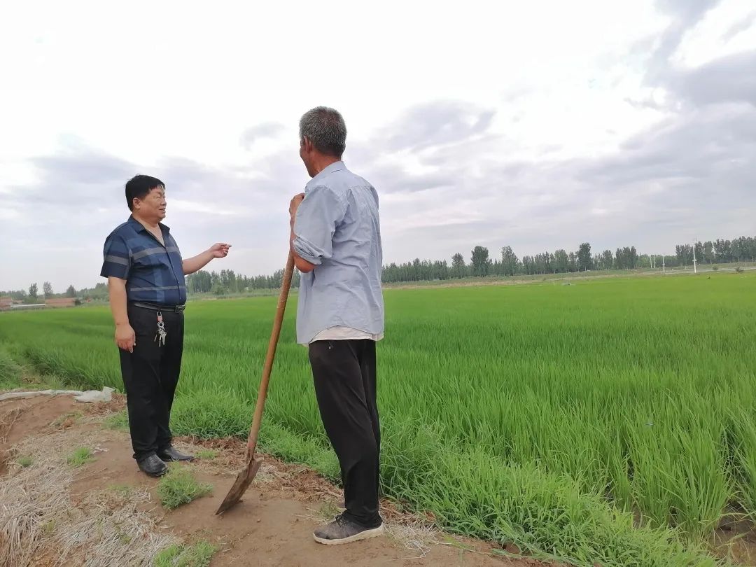 【头雁领航干事创业】“一肩挑”助力小村庄迎来大发展(图1)