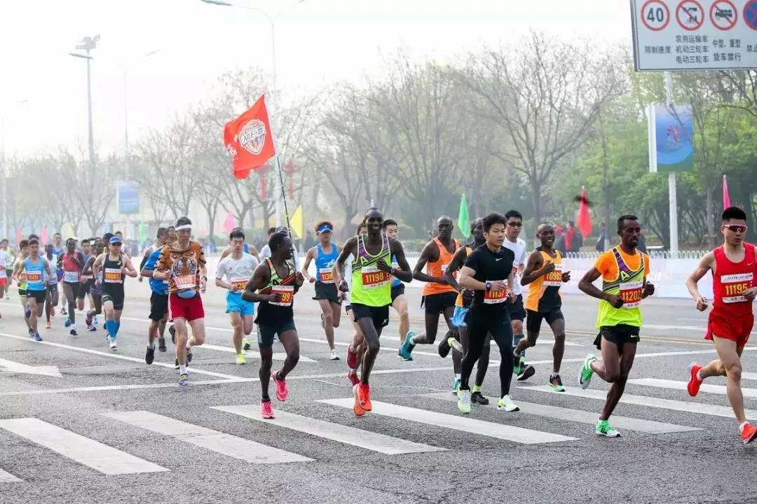 2019天津（武清）马拉松精彩开跑 赛道沿用开发区福源道(图2)