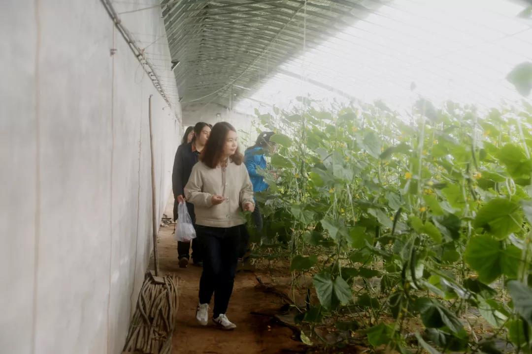 开发区工会开展迎庆“五一”主题活动(图8)