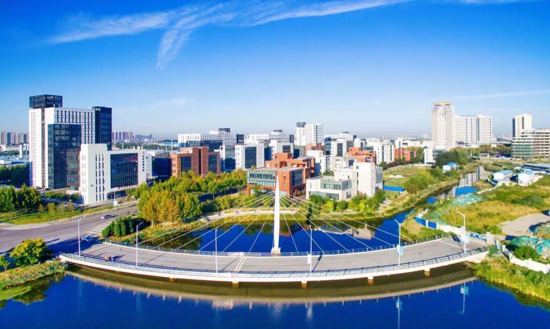 持之以恒，武清开发区生态园区建设再上新水平！(图2)