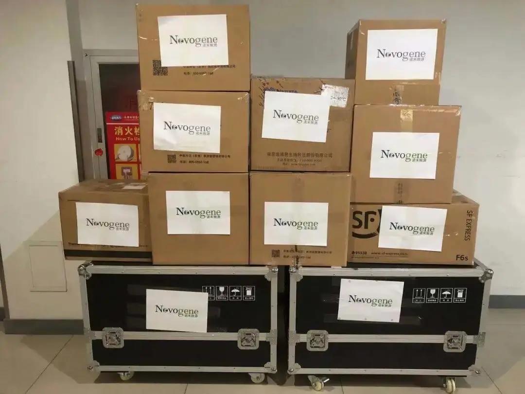 远程支持！ 诺禾致源驰援成都市郫都区筛查(图2)