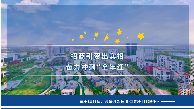 引进项目339个！武清开发区招商引资出实招 奋力冲刺“全年红”(图1)