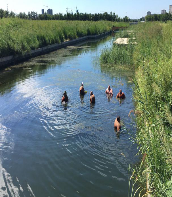 清水为邻·守护河湖 | 武清开发区总公司河（湖）长办履职情况汇报(图4)