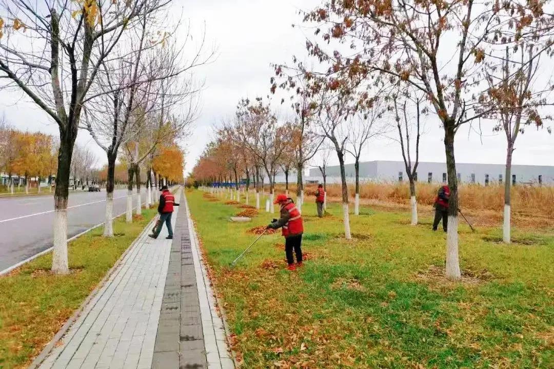 武清开发区精彩12月为2020画上完美句点(图20)