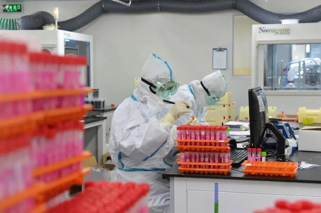 全力以赴 | 诺禾致源助力河北抗疫，全方位筑牢京津冀抗疫防线(图2)