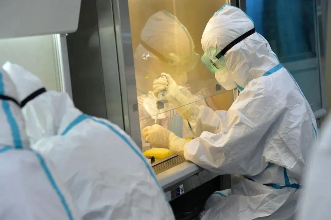 全力以赴 | 诺禾致源助力河北抗疫，全方位筑牢京津冀抗疫防线(图1)