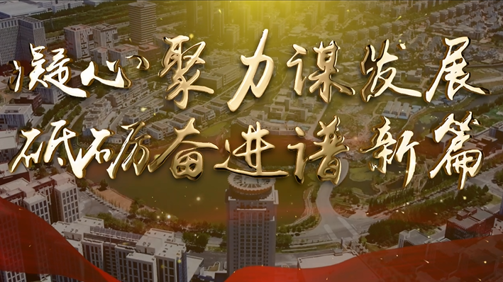 【聚焦UDA】武清开发区一月工作亮点~(图3)