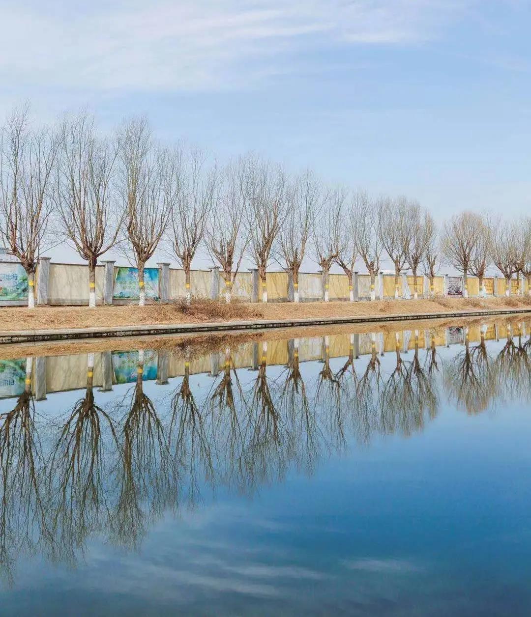 武清开发区践行绿色发展理念 守护碧水蓝天(图3)