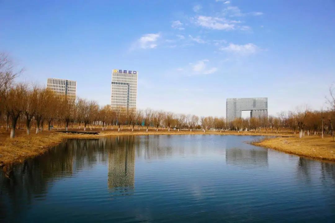 武清开发区践行绿色发展理念 守护碧水蓝天(图5)