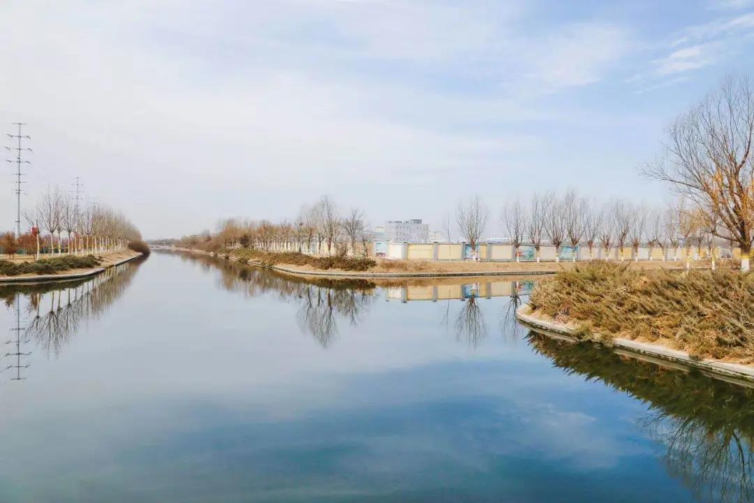 武清开发区践行绿色发展理念 守护碧水蓝天(图6)