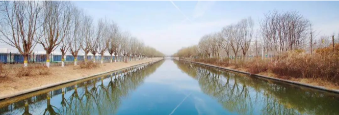 武清开发区践行绿色发展理念 守护碧水蓝天(图1)