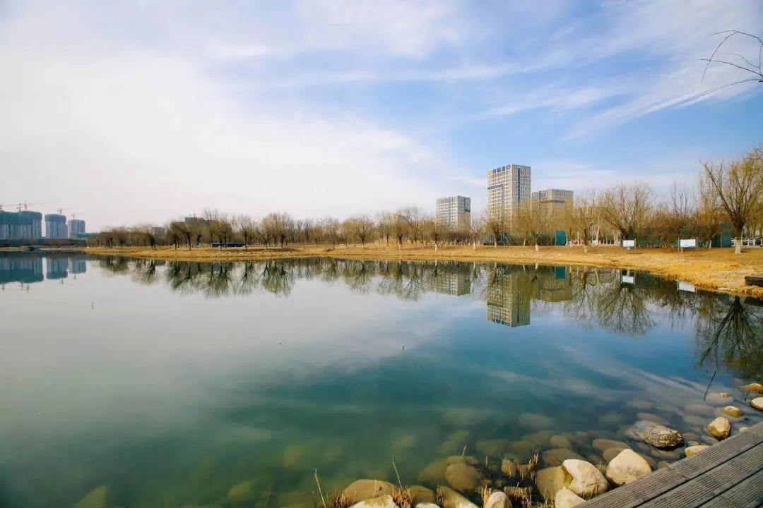 武清开发区践行绿色发展理念 守护碧水蓝天(图2)