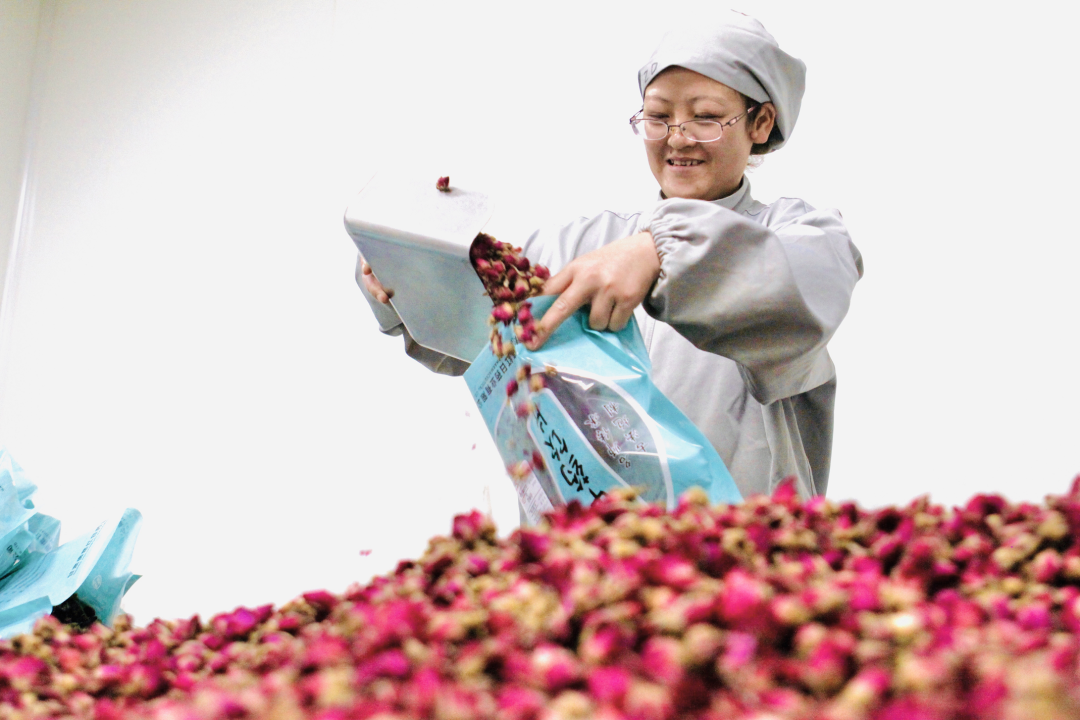 骄傲！武清开发区这家企业被授予“全国脱贫攻坚先进集体”荣誉称号(图4)