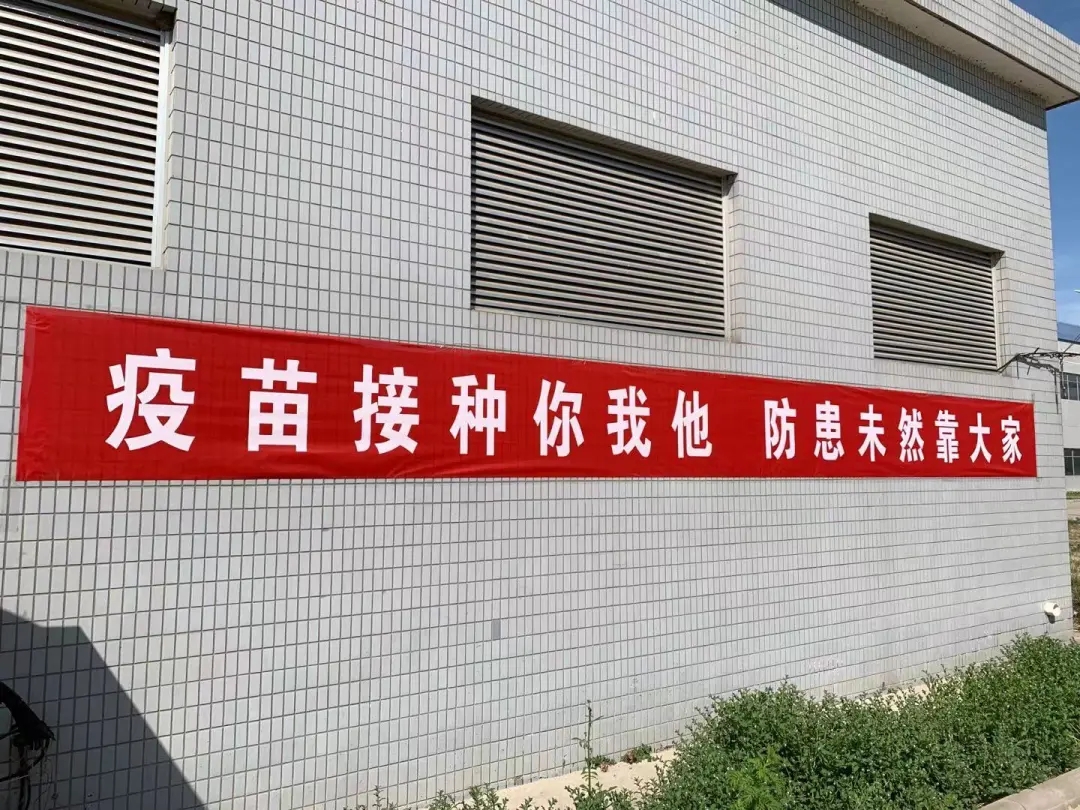 44442剂！武清开发区全力推进新冠病毒疫苗接种工作(图11)