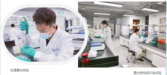 专注新药研发与技术成果应用转化武清开发区这家生物医药产学研平台正式启用!(图2)