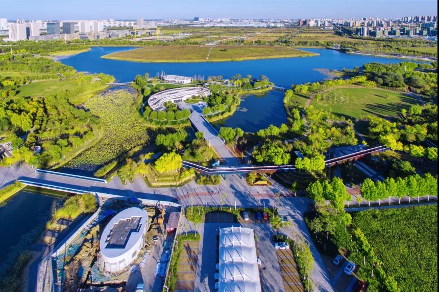 凝聚治水合力 “最美中央湖”再添秀色!(图1)