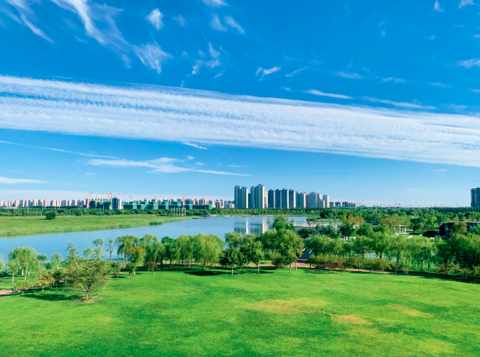 凝聚治水合力 “最美中央湖”再添秀色!(图6)