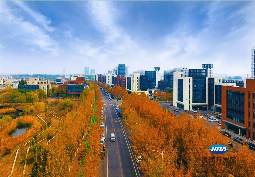 197个项目，44.85亿元！武清开发区：“三个聚焦”奋力推动园区高质量发展(图3)