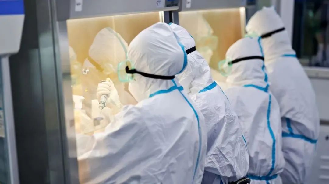 【聚焦UDA】5月的武清开发区(图5)