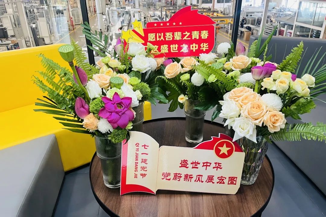 最美花儿献给党!(图4)