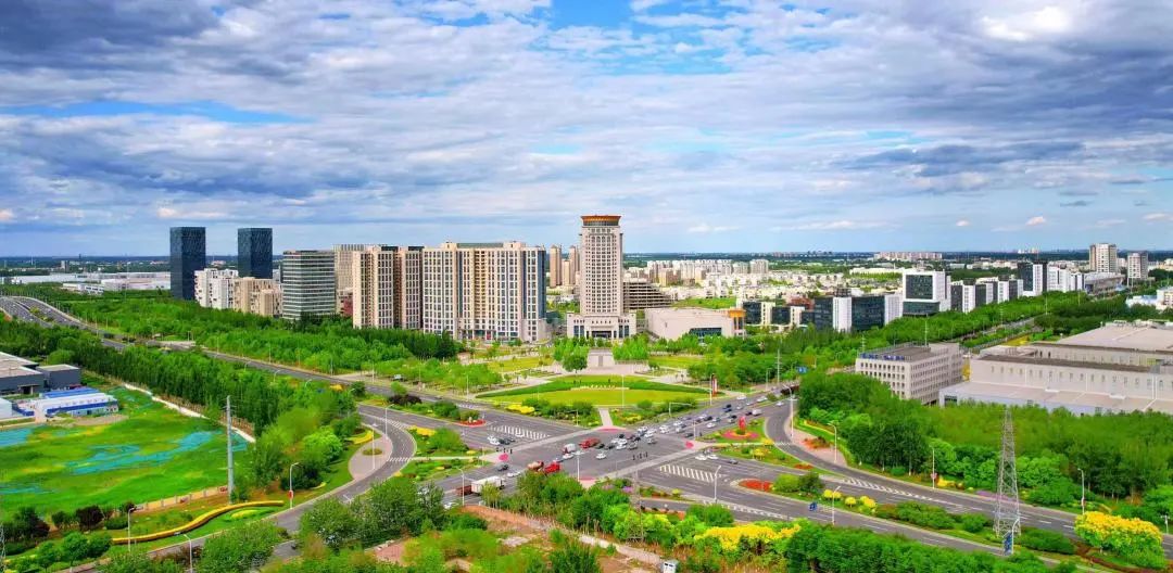 推动政策落地见效！武清开发区437人获得区自主人才认定！(图4)