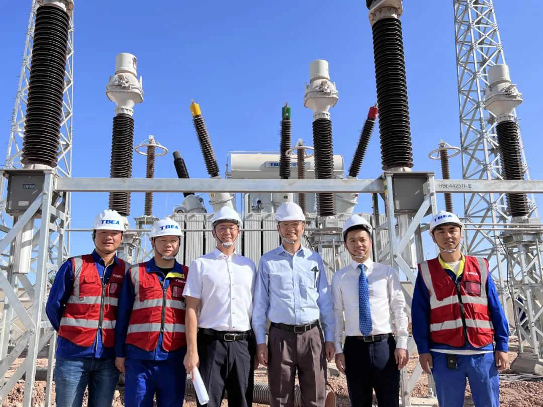 【UDA之星】不一样的“国际旅行家”——记特变电工国际工程有限公司非洲区副总经理谭李成蹊(图6)