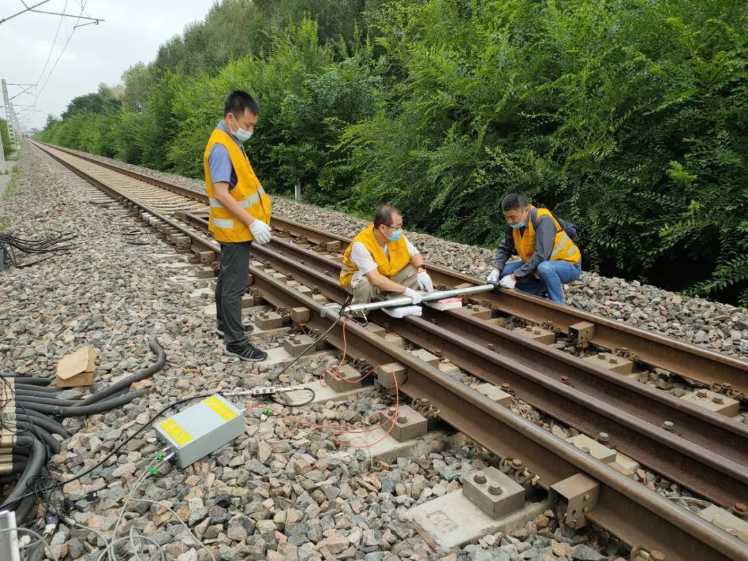 The first batch of chips independently innovated in Wuqing!(图3)