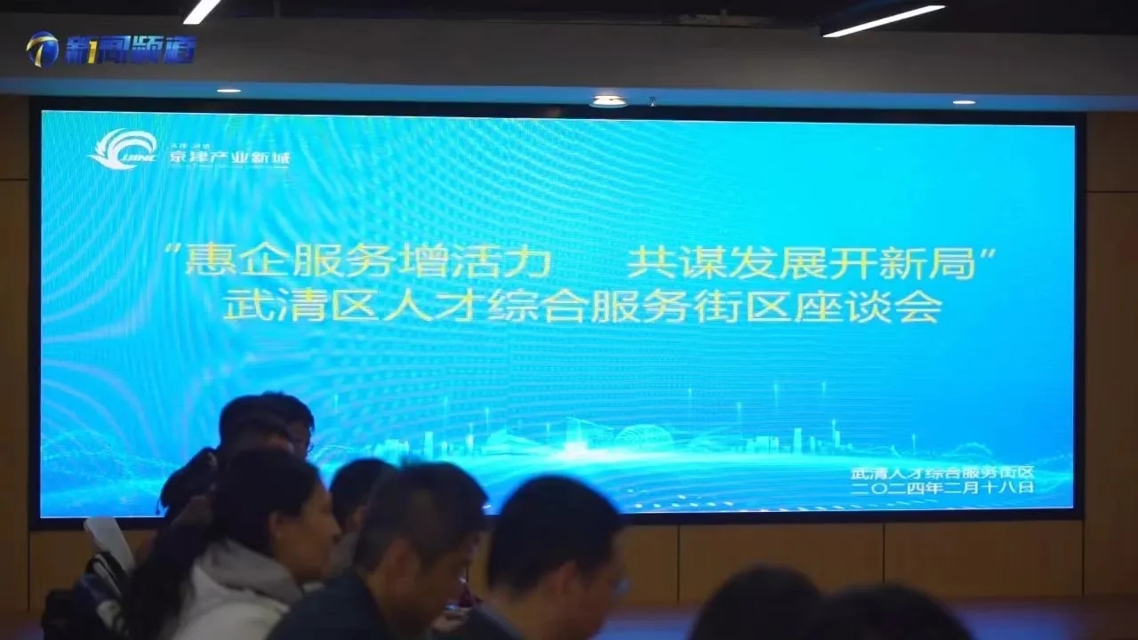 武清人才综合服务街区龙年首季精彩纷呈(图4)