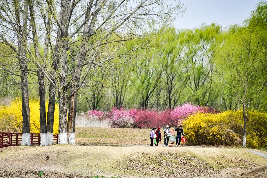 1.2亿元！超38万人武清打造假期“顶流”！(图12)