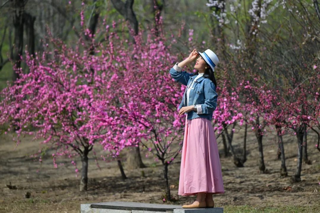 1.2亿元！超38万人武清打造假期“顶流”！(图10)