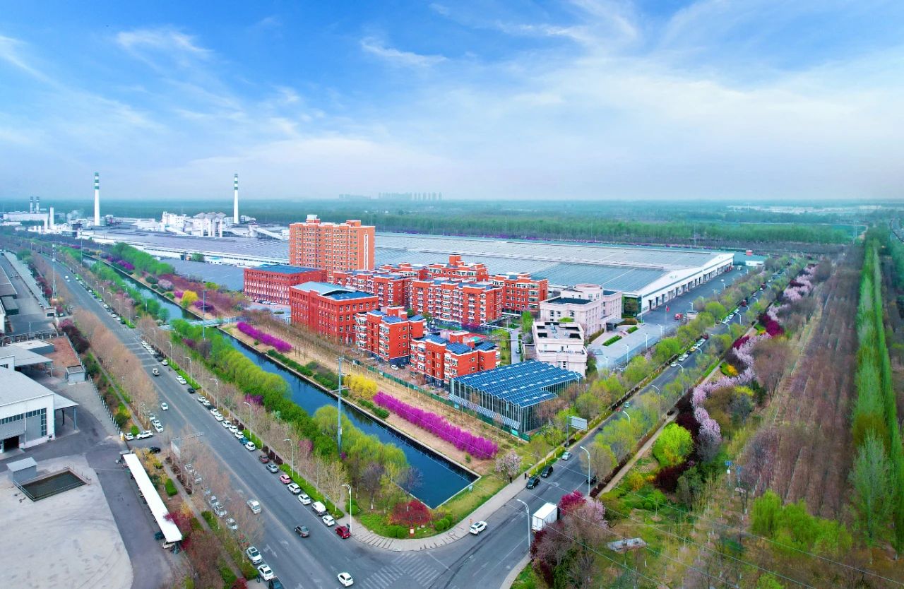 颜值UP↑ 武清开发区又双叒叕“靓”了!(图19) 颜值UP↑ 武清开发区又双叒叕“靓”了!(图19)