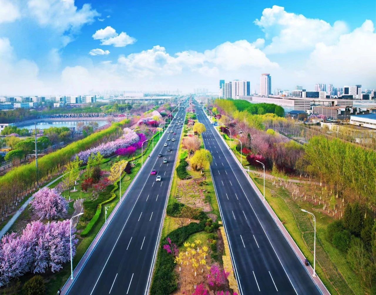 颜值UP↑ 武清开发区又双叒叕“靓”了!(图12) 颜值UP↑ 武清开发区又双叒叕“靓”了!(图12)