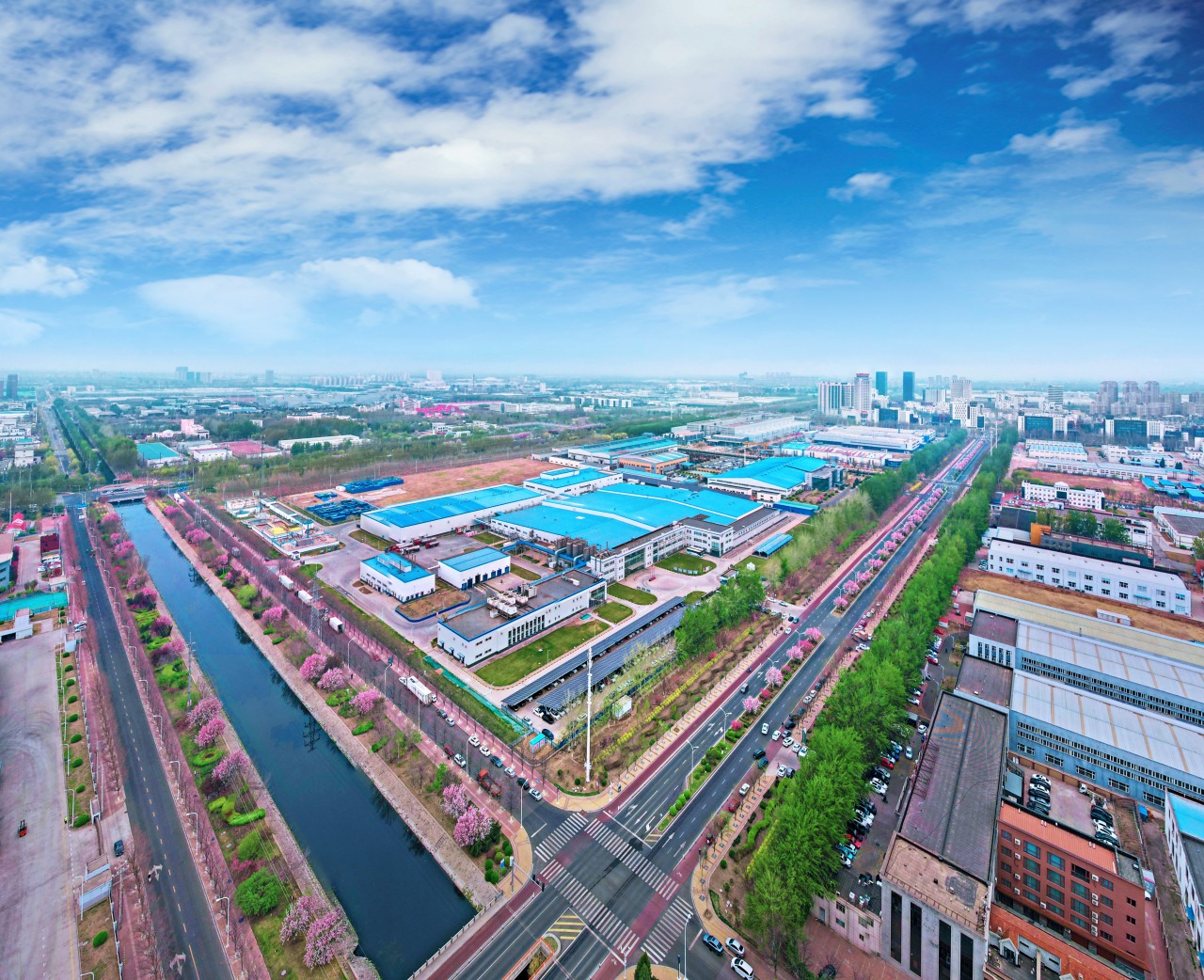 颜值UP↑ 武清开发区又双叒叕“靓”了!(图21) 颜值UP↑ 武清开发区又双叒叕“靓”了!(图21)